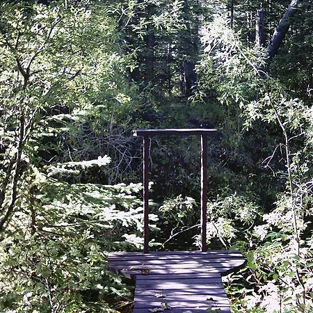 Redwood Meadows Bed And Breakfast-3